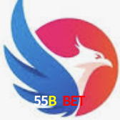 55B.Com